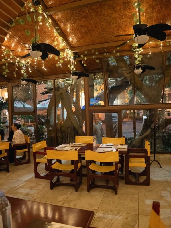 rolandis-playa-del-carmen10